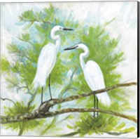 Herons Fine Art Print