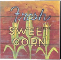 Fresh Sweet Corn Fine Art Print