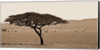 Serengeti Horizons I Fine Art Print