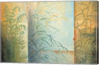 Ferns & Grasses Fine Art Print