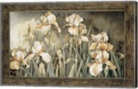 Field of Irises Fine Art Print