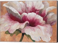 Pink Begonia Fine Art Print