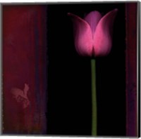 Red Tulip I Fine Art Print