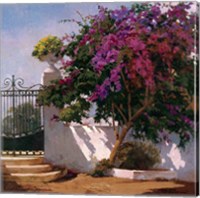 Menorca Home Fine Art Print