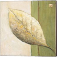 Leaf Impression - Olive Fine Art Print