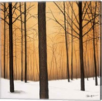 Winter Warmth Fine Art Print