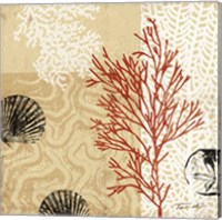 Coral Impressions II Fine Art Print