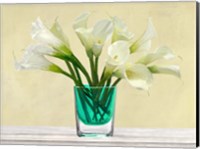 White Callas in a Glass Vase Fine Art Print