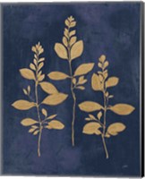 Botanical Study IV Gold Navy Fine Art Print
