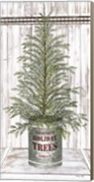 Galvanized Pot Spruce Fine Art Print