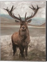 Grand Elk 1 Fine Art Print