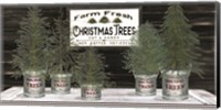 Galvanized Pots Christmas Trees II Fine Art Print