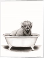 Bison in Tub Fine Art Print