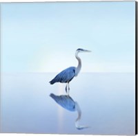 Beachscape Heron II Fine Art Print