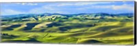 Farmscape Panorama III Fine Art Print