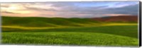 Farmscape Panorama VI Fine Art Print