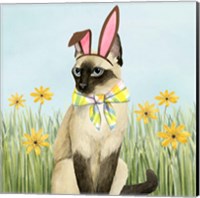 Easter Cats II Fine Art Print
