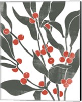 Colorblock Berry Branch II Fine Art Print