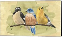 Bird Perch IV Fine Art Print