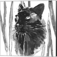 Still Cat I Fine Art Print