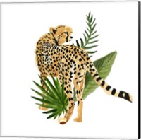 Cheetah Outlook III Fine Art Print