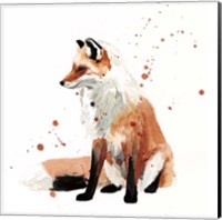 Watercolor Fox I Fine Art Print