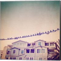 Birds on Wires I Fine Art Print