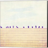 Birds on Wires III Fine Art Print