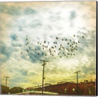 Birds on Wires V Fine Art Print