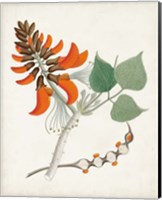 Botanical of the Tropics I Fine Art Print
