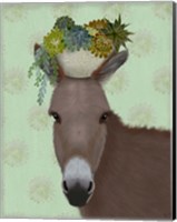 Donkey Succulent Fine Art Print