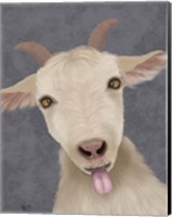 Funny Farm Goat 2 Fine Art Print