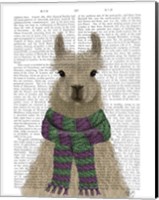 Llama with Purple Scarf, Portrait Book Print Fine Art Print