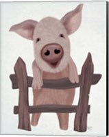 Pig On Fence Fine Art Print