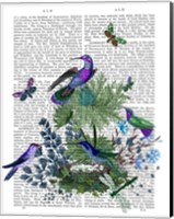 Tropical Birds Nest 1 Book Print Fine Art Print