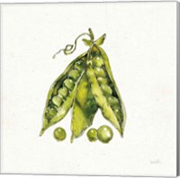 Veggie Market IV Peas Fine Art Print