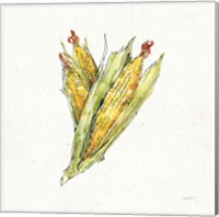 Veggie Market III Corn Fine Art Print