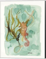 Seahorse 2 Fine Art Print