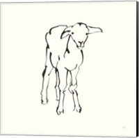 Line Lamb Fine Art Print