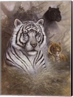 Serengeti Predator Fine Art Print