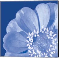 Flower Pop blue I Fine Art Print