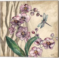 Boho Orchid & Dragonfly I Fine Art Print