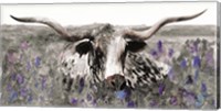 Longhorn in Flower Field Fine Art Print