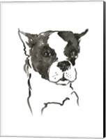 The Dog V Fine Art Print