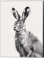 Wild Hare I Fine Art Print