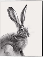 Wild Hare II Fine Art Print