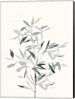 Delicate Sage Botanical VI Fine Art Print