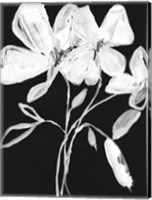 White Whimsical Flowers I Fine Art Print