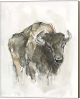 American Buffalo I Fine Art Print