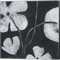 Monochrome Meadow II Fine Art Print
